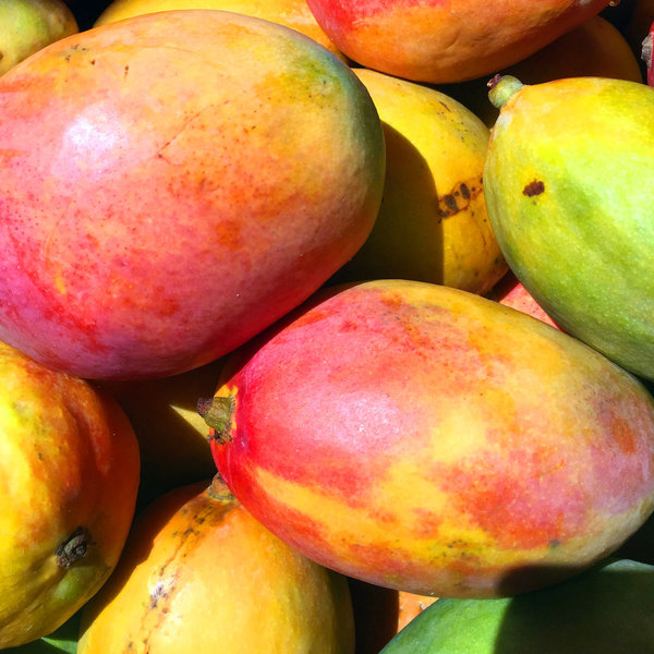 FruttaMax Mango Sirup 500ml